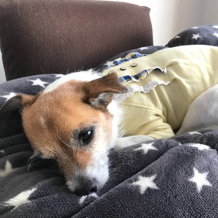 Af1c3ccc c339 4311 827f 66fd6870052e 1522977257067