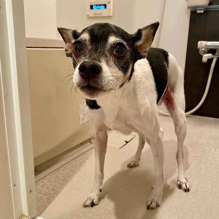 Af1c8382 d356 42f0 aa88 c9a40c65d5c5 1619934929779