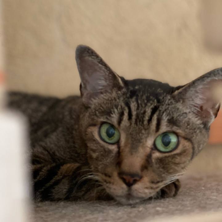 Af1c8c12 18f7 4dc5 b620 95955042cd53 1630110370381