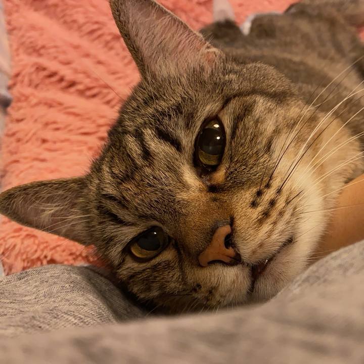 Af1c8de8 69c8 4f94 9e28 da9f5af4aee6 1727564911381