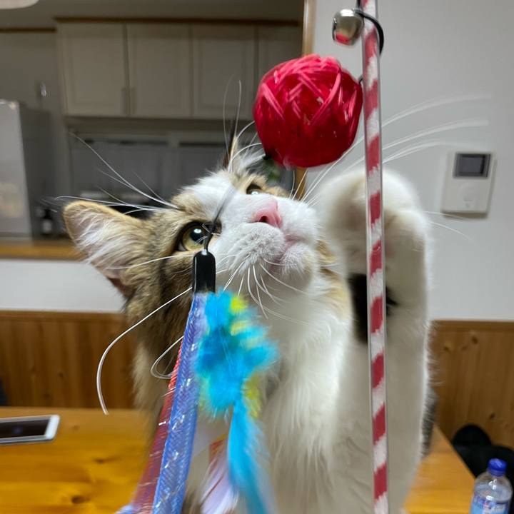 Af1c94d2 c16d 4832 8fb8 3ebf8aa6047c 1652269543545