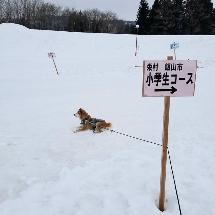 Af1caa50 76e6 49a4 aa14 2cc50e4f51e9 1614913578588