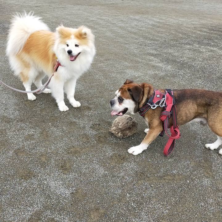 Af1cb19e c339 4a9e b5f3 93324862b136 1657116407517