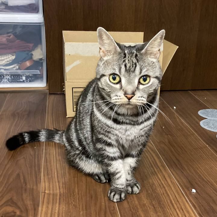 Af1cc61c 80cf 47ea 94c9 16d396fdac8f 1603185700199