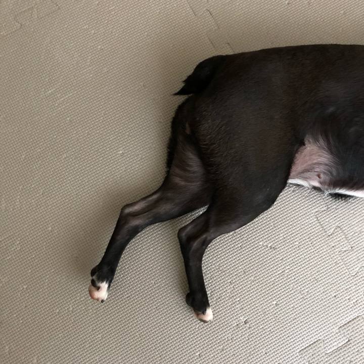 Af1ccde7 0117 4b6d 8cd4 f2c2595329df 1596183950466