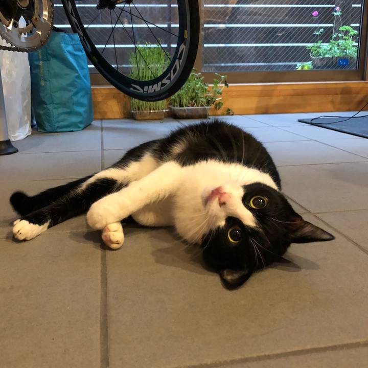 Af1ccf07 7b90 49c4 b053 b84f15f913fc 1522911041079