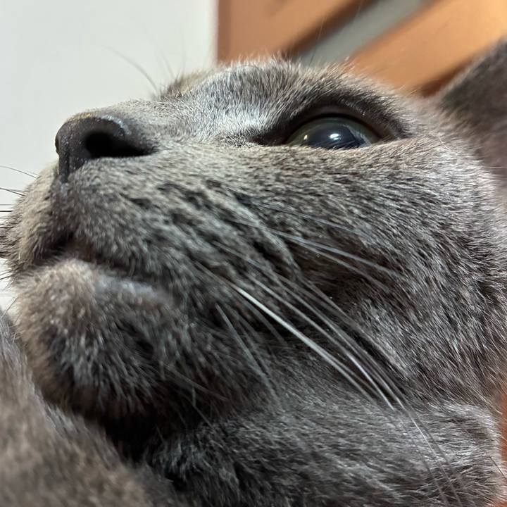 Af1cf2e6 fa71 4b06 b03e 2460d51cae6d 1757766085920