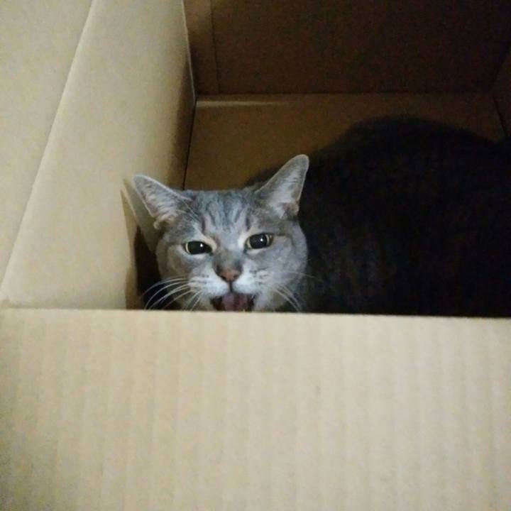 Af1cfa89 4f53 46e1 bf34 f261084f3331 1543836608730