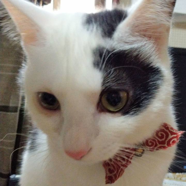 Af1d0e8e 9cbf 46b1 b84c 747b85bc51ee 1551795285339