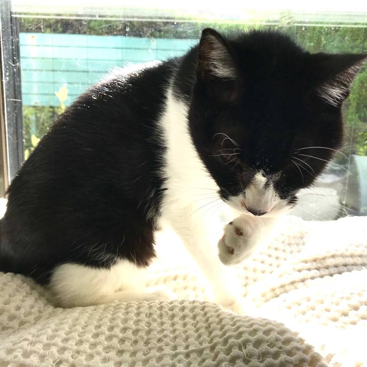 Af1d1c6b 2c6d 47d4 94c9 269eca8b4334 1574042415589