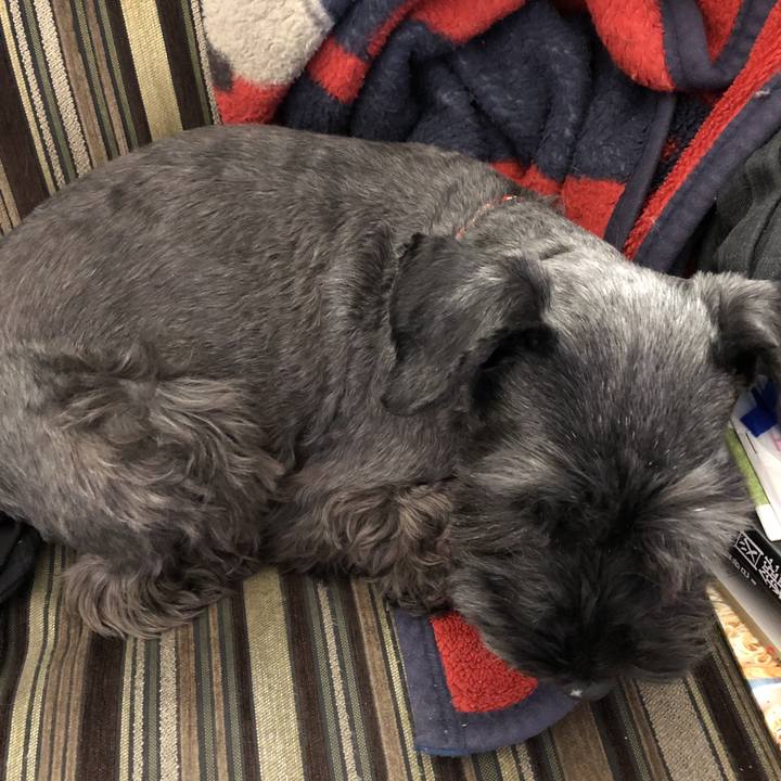 Af1d472f 7d7c 4784 83dd 2d92a444460d 1543632674288