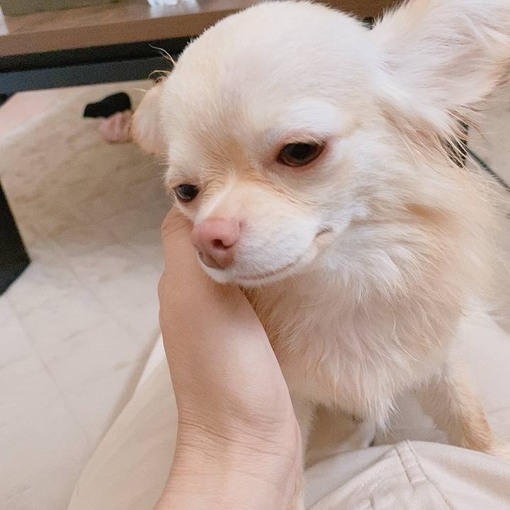 Af1d5864 1d55 4568 a4b4 e1582cfb5848 1619599662351