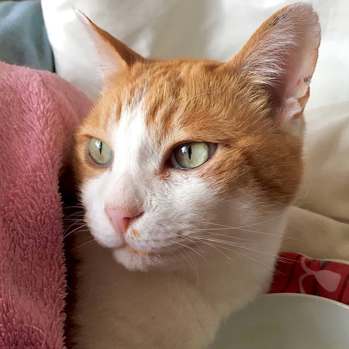 Af1dee9f 8387 453b bb13 7d42ab26a7d1 1583465464677