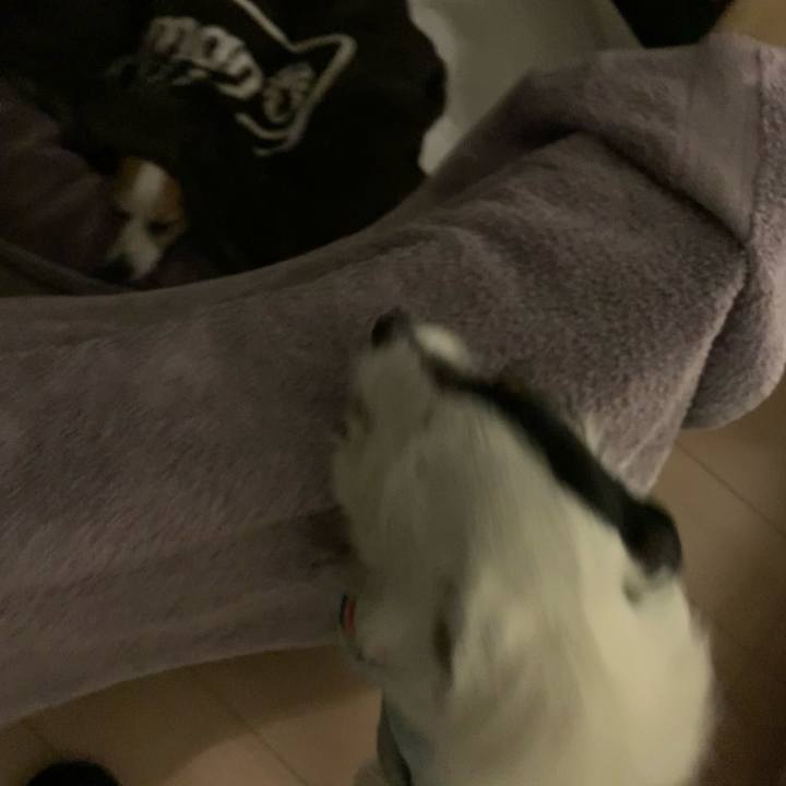 Af1dfc5a 6a93 46ae 949a 5b0d06d538ce 1644674856747