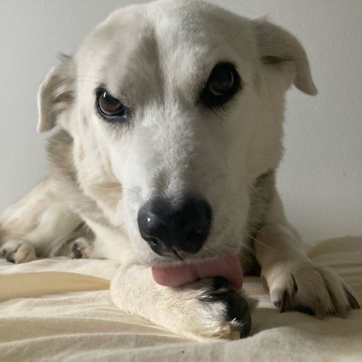 Af1e0159 35fb 4caf b99b 4c47018659c5 1719213196437