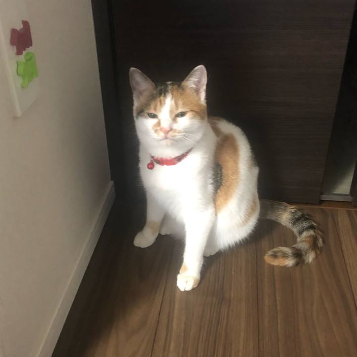 Af1e07d0 9efe 4e3a 8e09 89546a01e20e 1579045044502