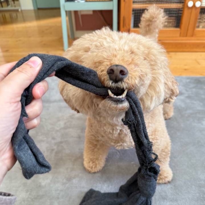 Af1e1753 5d0f 4372 9a0d 1fc570b6eb7c 1762382695713