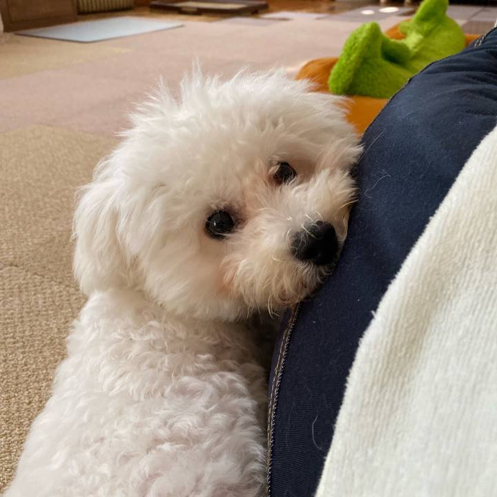 Af1e220e b6cd 4f04 96a3 ae1edfb8827e 1751063851597