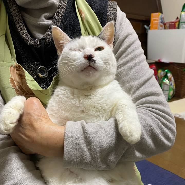 Af1e4bd3 8dc5 400e 923e 12f381075d0e 1669711334385