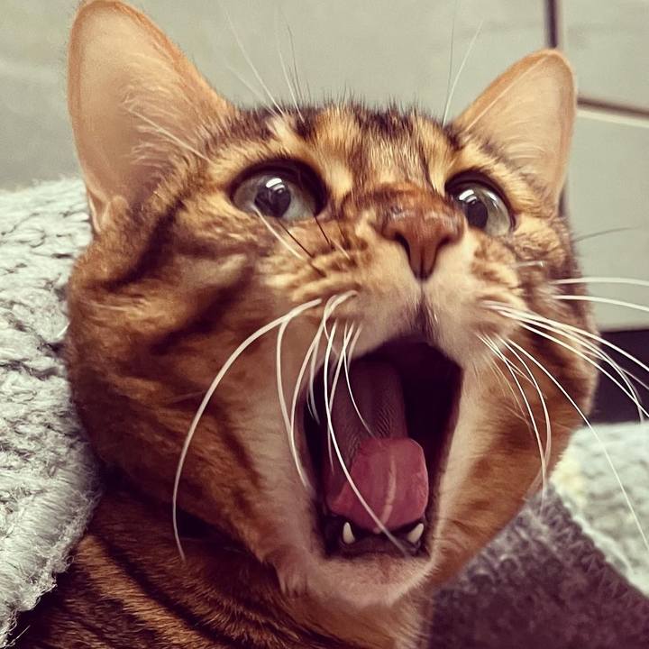 Af1e517d d275 4459 a5db 6364c46c3793 1637364799739