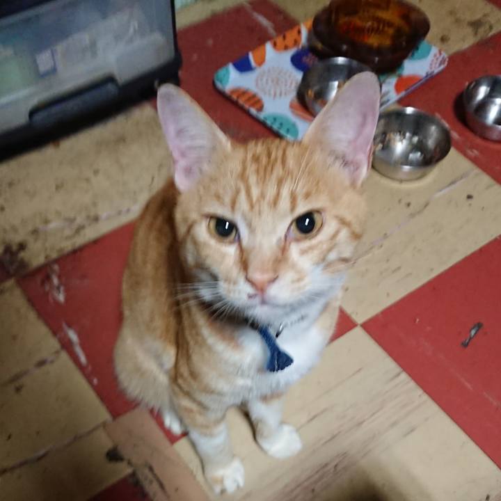 Af1ed912 50d3 427b 9fa0 3ac27b497935 1562960585206