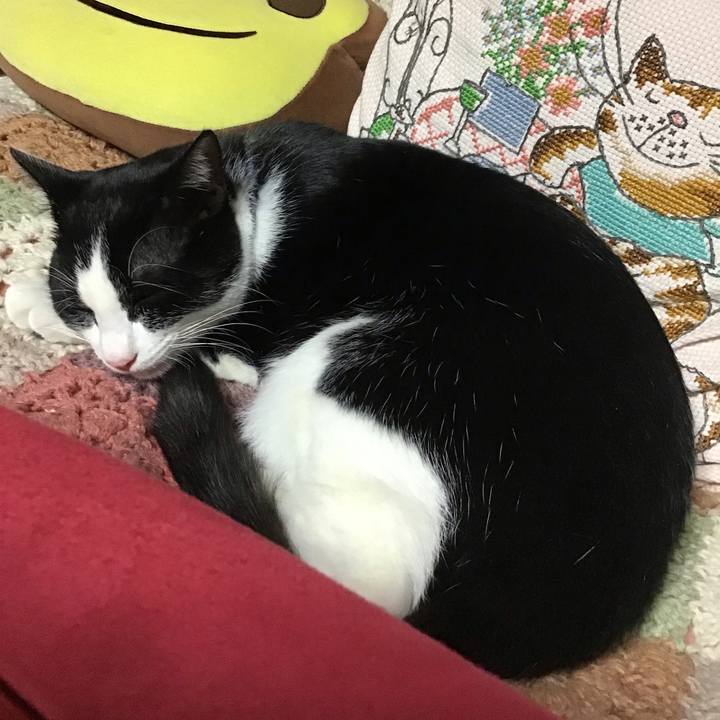 Af1eea9e a459 4392 b437 cafea86ca890 1638525211591