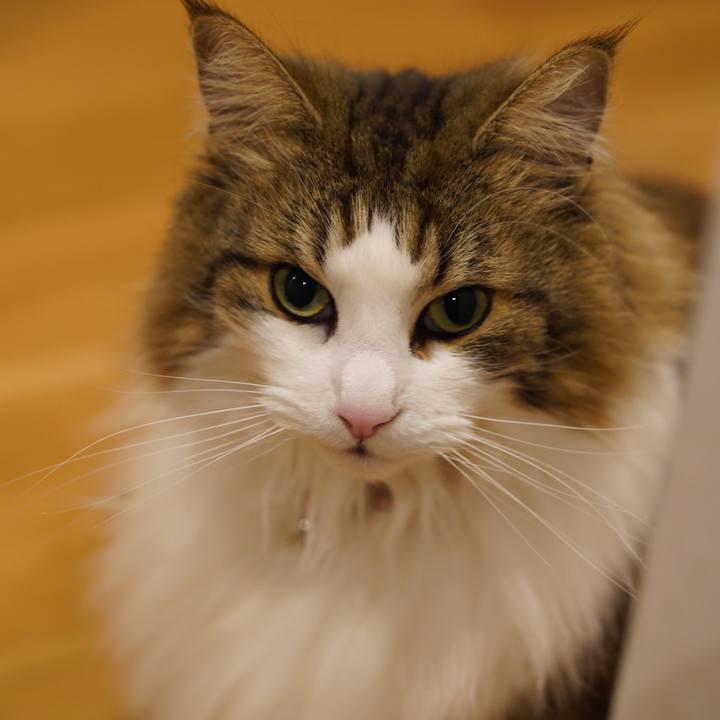 Af1f011d ea7b 423b a09e a3c0a6f9a41c 1647696057186