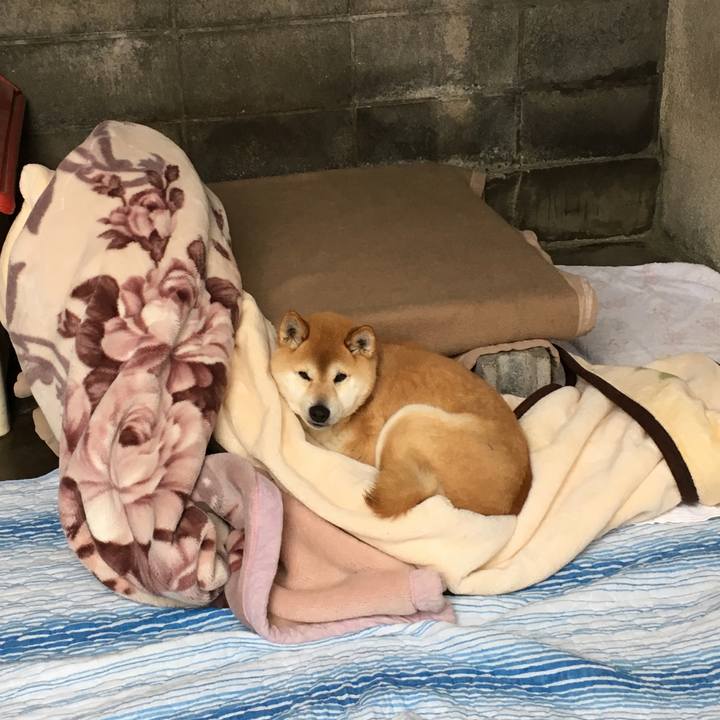 Af1f0897 2960 4199 a50c 3a14af2cc426 1520243057141