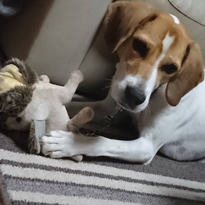 Af1f13e6 348f 46c8 8cf8 0f85e3b16eb2 1572349477247