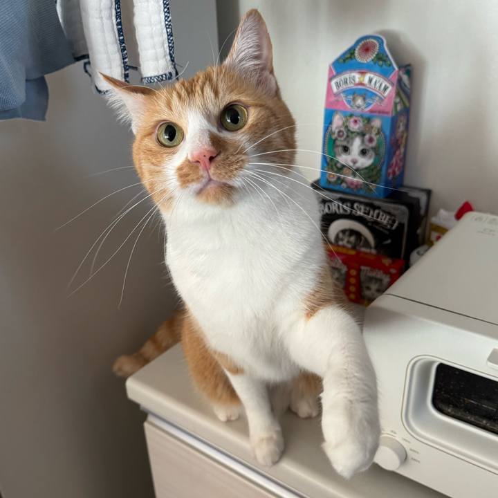 Af1f1dd8 a442 4dcb 88f7 9a4f703c7cd8 1764560011037