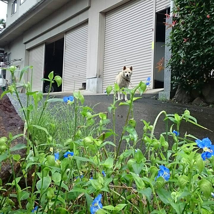 Af1f6148 08e1 441b 89cc 4107170713cd 1535769408446