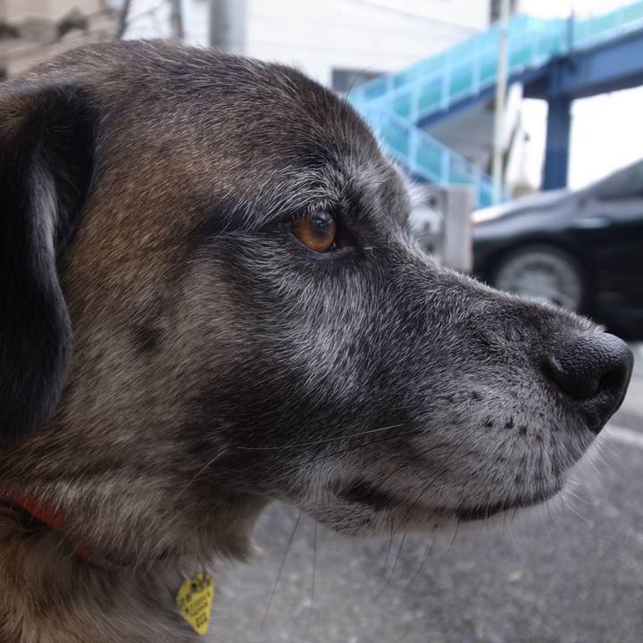 Af1f7019 6d3a 431f 9ac9 779de0b7d5ef 1592955345759