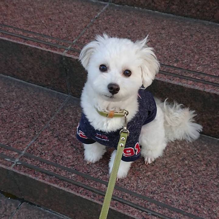 Af1f7fcd 8773 40a3 9099 3887fb06dbd7 1552120479798