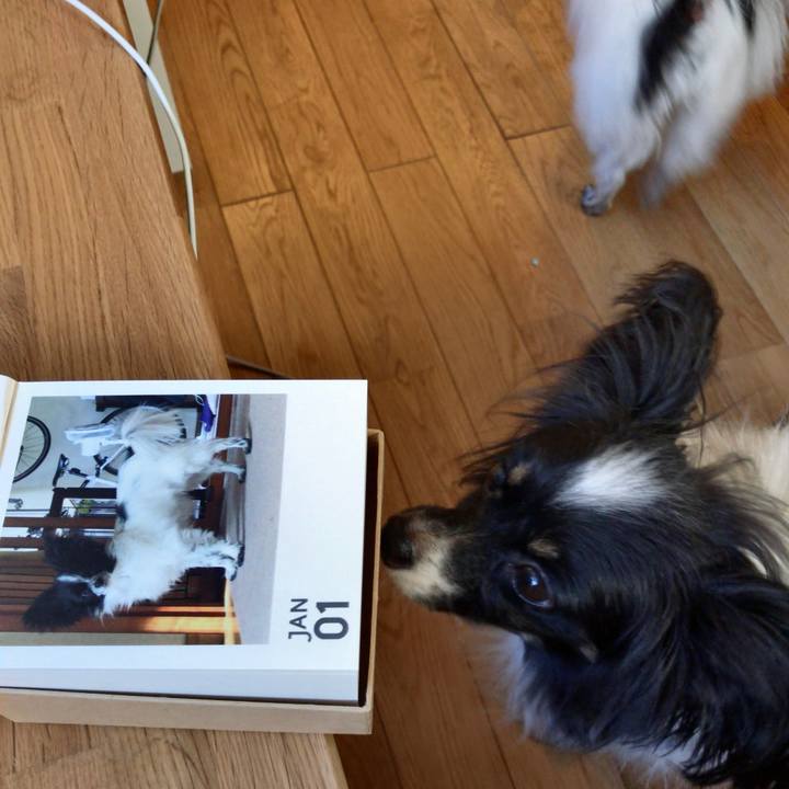 Af1f9173 f0cf 4081 91cd 5d3c1203b161 1514502738400