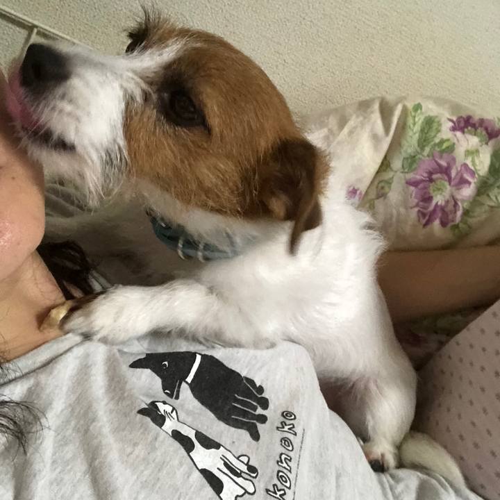 Af1f98f1 5f54 456c a82e 005dd10a1523 1541680630655