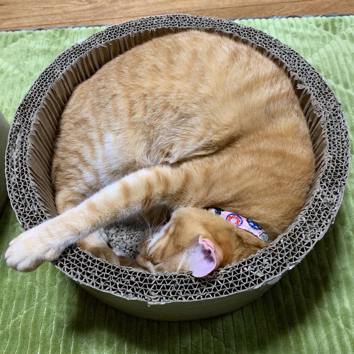 Af1fa92e 422f 4ea4 a477 016f4b7f27c0 1555600598754