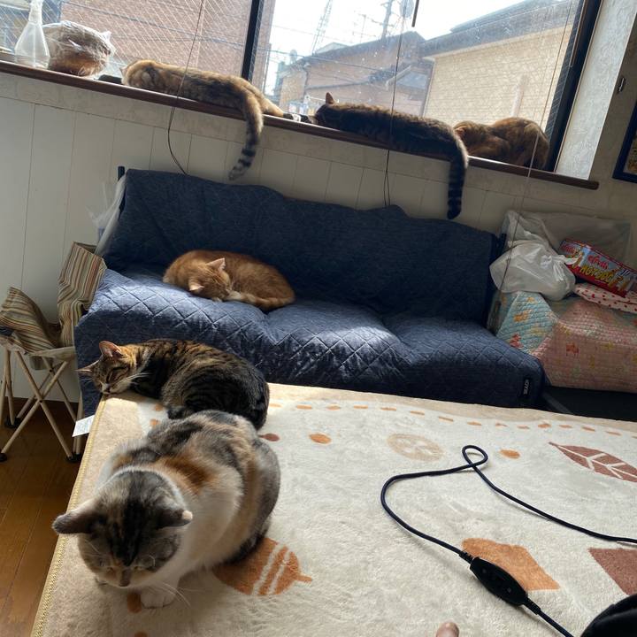 Af1fdae1 628d 48eb 8bc9 f672ac216786 1584075040648