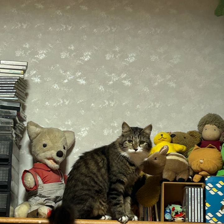 Af200521 b226 4572 a1e2 676c6feb01d1 1731296842423