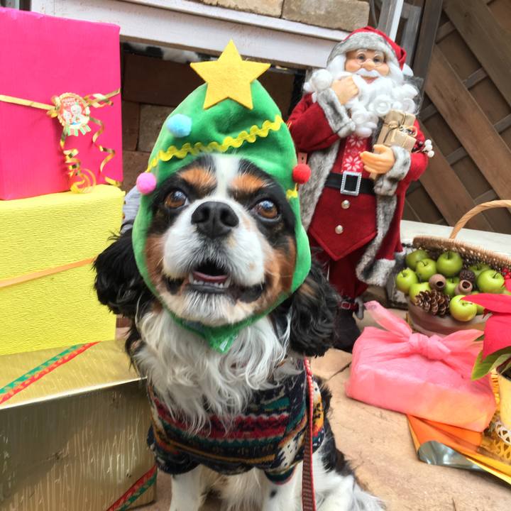 Af202317 f630 40da 97e1 2e743ce437fa 1511932638461