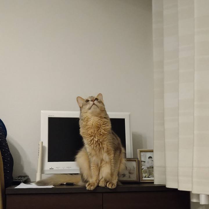 Af203763 1fa1 47af b1f4 95f4bb8c76b6 1626863181115