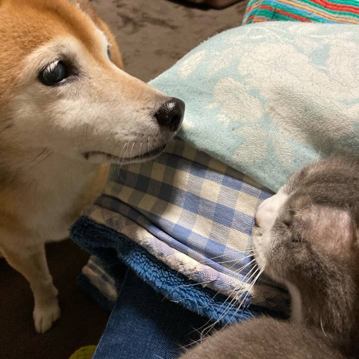 Af20a5d1 ebe1 4257 8436 69efc02265f1 1702371716754