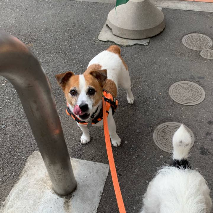 Af20b5e7 6b78 45b4 86f0 f8eb096cf8c9 1626220516808