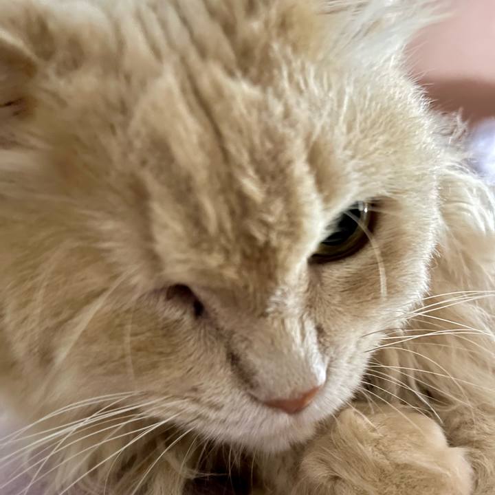 Af20b69d b920 45b2 8b92 6e6d938315a2 1767360066064