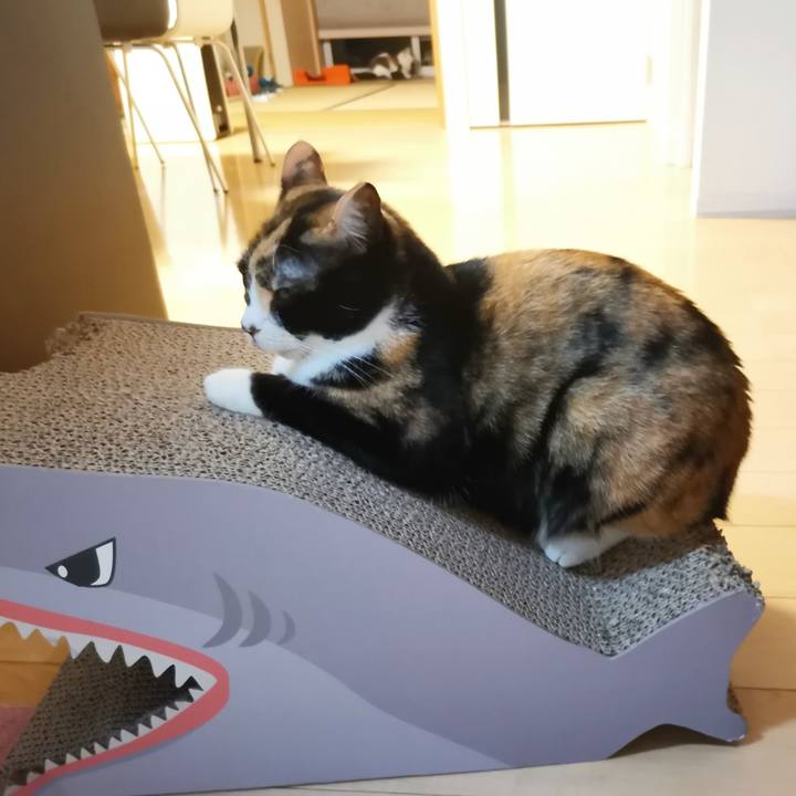 Af20dae9 29d7 4786 9a07 0540ac2a9557 1673756866164