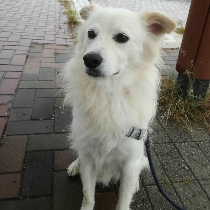 Af20db91 58f6 4029 8d9f c46d8ca818ba 1508459599266