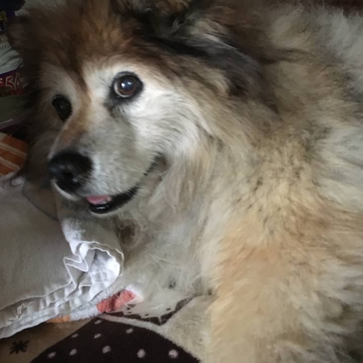 Af20f381 038b 4767 865e aa76d5fdde48 1582395271042