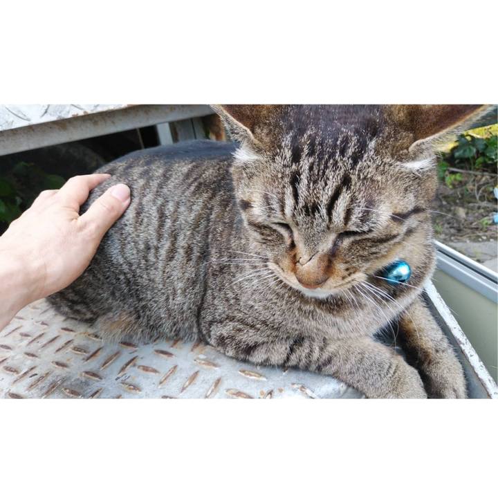 Af211434 fe0c 4eef 94fe 3aa702f8e2ff 1589267440507