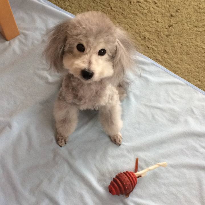 Af211c56 dbc2 470d 8b6e 67f11f77e04d 1516319734103