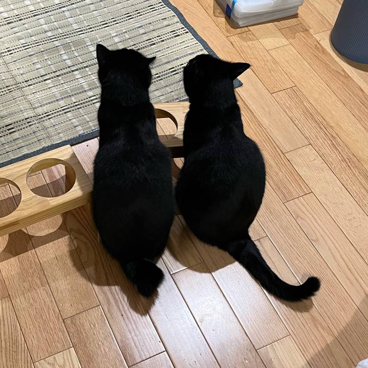 Af211dfa b66b 48de bc94 d47f0c585f16 1690846565186