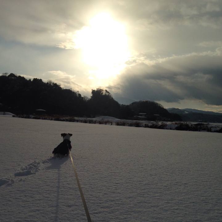 Af212ba9 963f 4d5d a549 d7f53d2e7ad5 1513494507711